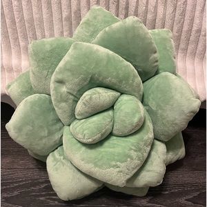 Succulent plant pillow